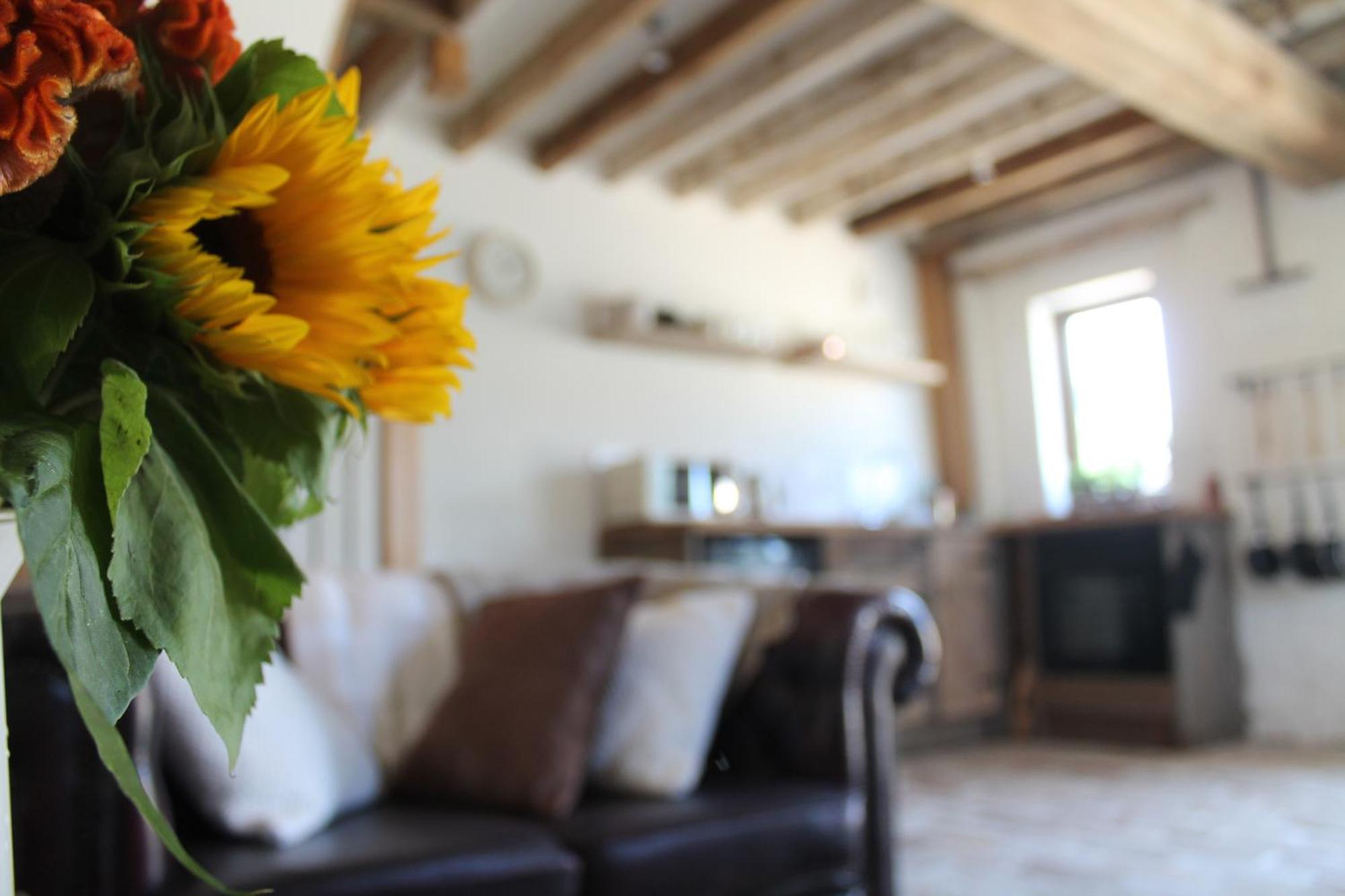 The Dovecote - Unique Self-Contained 1Bed Renovated Barn Villa Saffron Walden Dış mekan fotoğraf